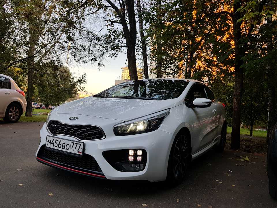 Kia ceed gt